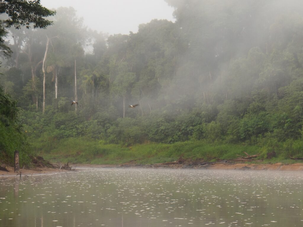 Early morning Heath River, Amazon